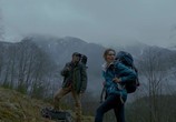Фильм Гризли / Into the Grizzly Maze (2014) - cцена 1